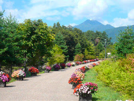 長野県　国営アルプスあづみの公園