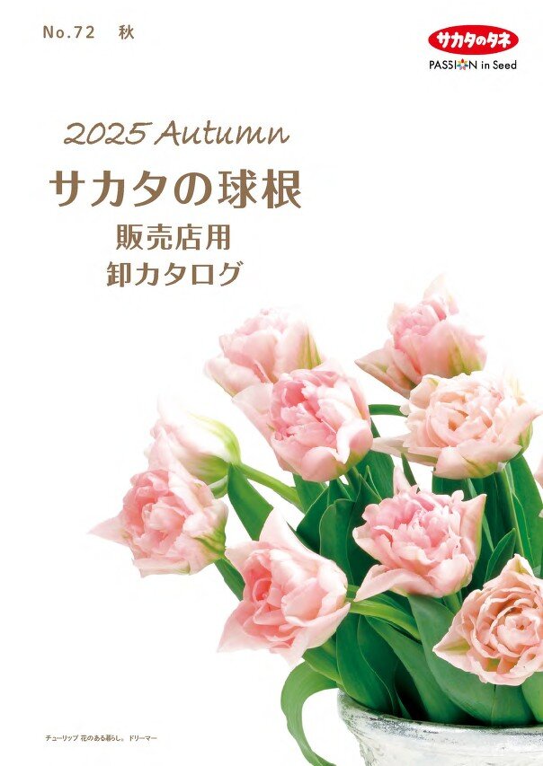 在庫一掃セール売れ筋ランキング WEBカタログ一覧｜タネ（種）・苗・園芸用品は【サカタのタネ】 ガーデンファニチャー