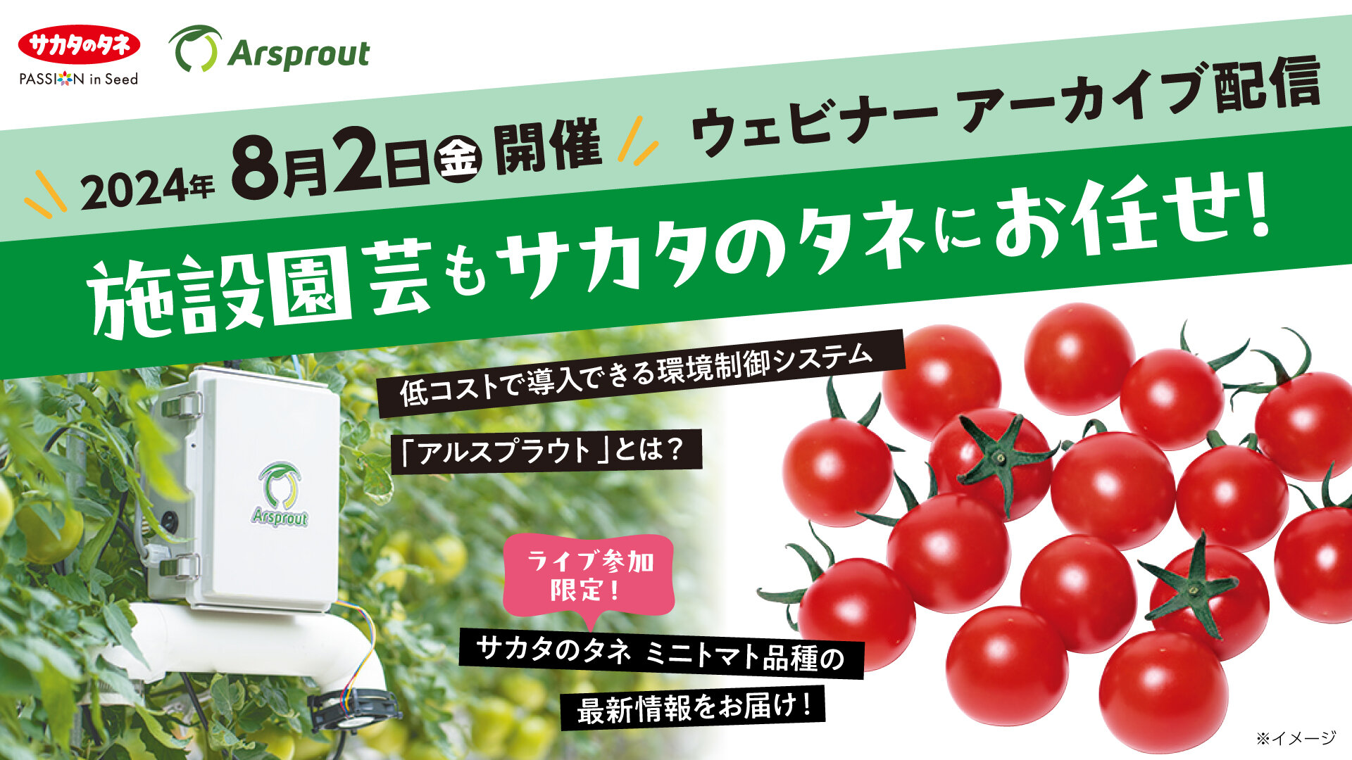 サカタ種苗会社 _ サカタの種オンラインショップ : サカタのタネ 本社 – PUEGT