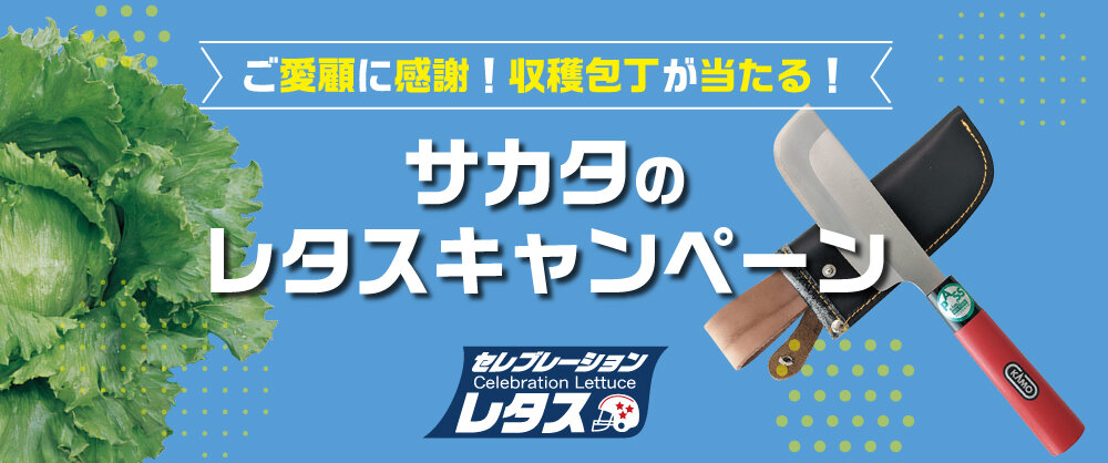 サカタのレタスキャンペーン