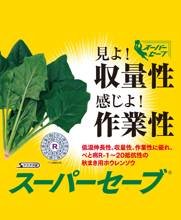 ホウレンソウ_スーパーセーブ