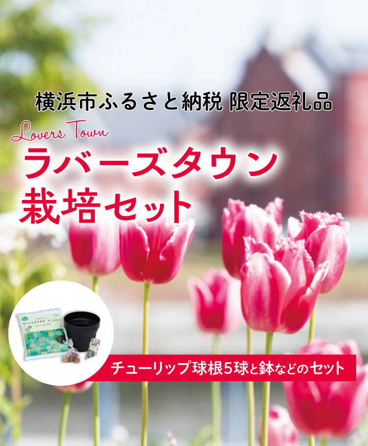 ふるさと納税_ラバーズタウン