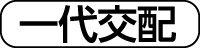 一代交配