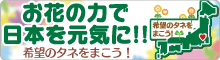 お花の力で日本を元気に!!希望のタネをまこう!プロジェクト