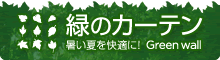 暑い夏を快適に!緑のカーテン