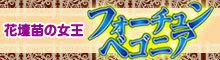 フォーチュンベゴニア