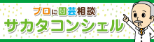 サカタコンシェル