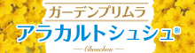 プリムラ アラカルト