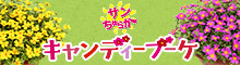 サンちゅらか キャンディーブーケ