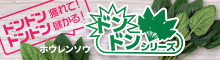 ドンドンシリーズ