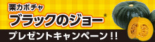 ブラックのジョープレゼントキャンペーン