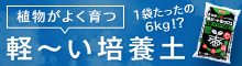 黒ピートミックス