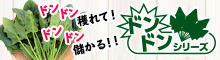 ドンドンシリーズ