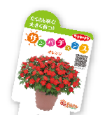 サンパチェンスのラベル