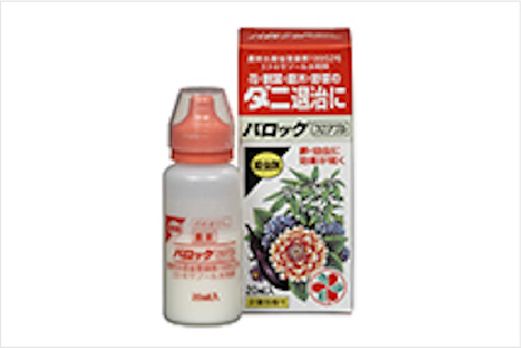バロックフロアブル
