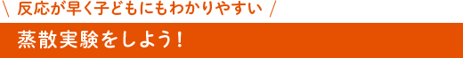 蒸散実験をしよう！反応が早く子どもにわかりやすい