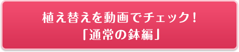 植え替えを動画でチェック！「通常の鉢編」