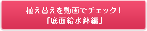 植え替えを動画でチェック！「底面給水鉢編」