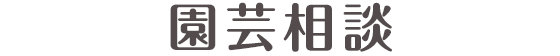 サカタのタネ 園芸相談