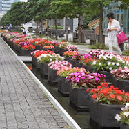 神奈川県　グランモール公園