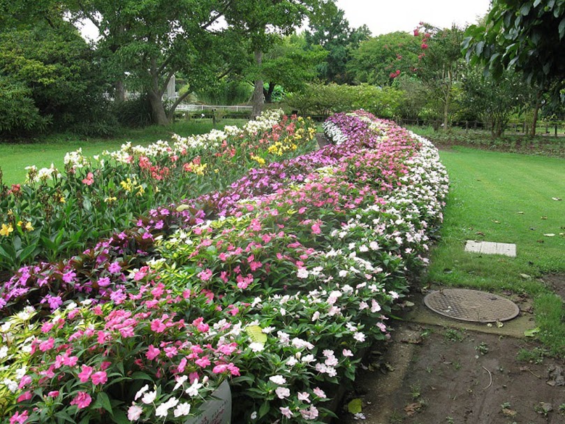 神奈川県立フラワーセンター大船植物園