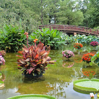 草津市立 水生植物公園みずの森