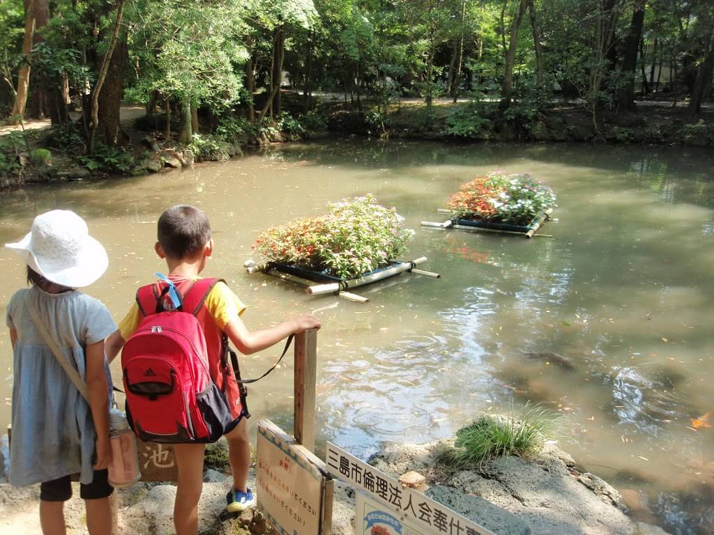 静岡県　三島市立公園　楽寿園