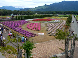 山梨県　山中湖花の都公園