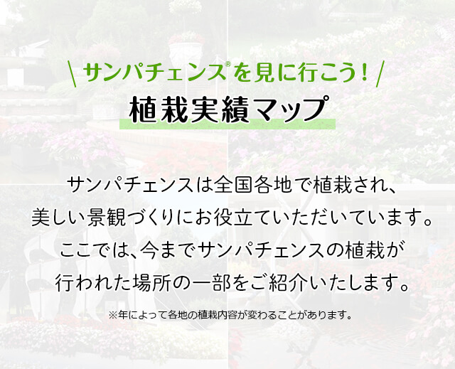 サンパチェンス(R)を見に行こう！植栽実績マップ サンパチェンスは全国各地で植栽され、美しい景観づくりに一役買っています。ここでは、今までサンパチェンスの植栽が行われた場所の一部をご紹介いたします。※年によって各地の植栽内容が変わることがあります。