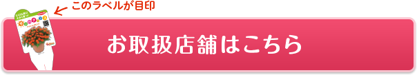 お取扱店舗はこちら