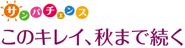 サンパチェンス　このキレイ、秋まで続く