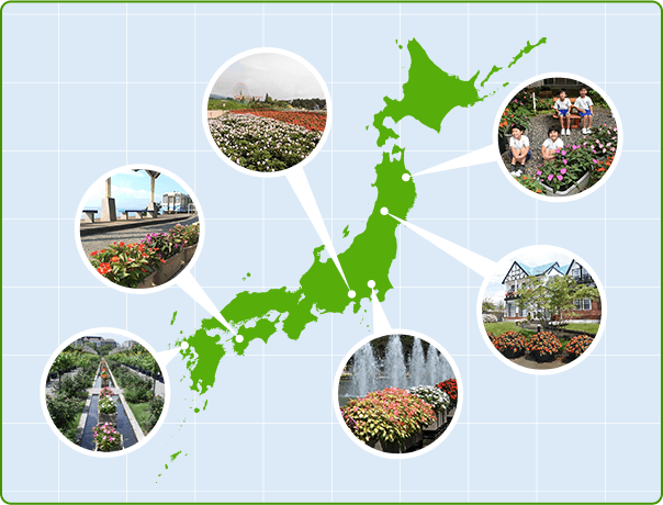日本地図と各地のサンパチェンスの植栽の写真