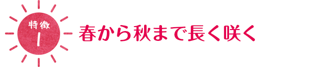 [特徴2]春から秋まで長く咲く