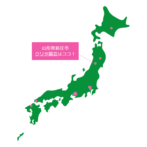 地産地消の花「サンパチェンス」