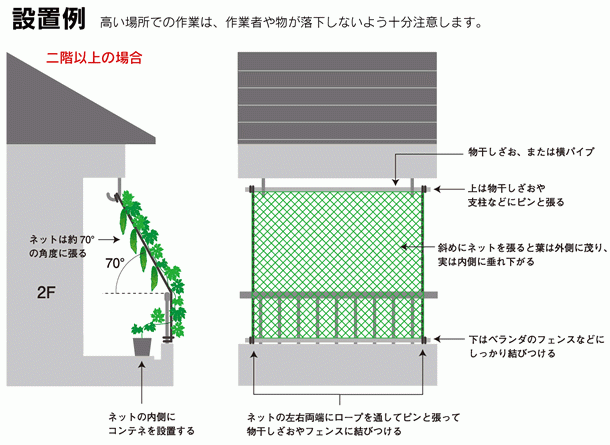 ネットを設置しましょう 暑い夏を快適に 緑のカーテン グリーンカーテン サカタのタネ