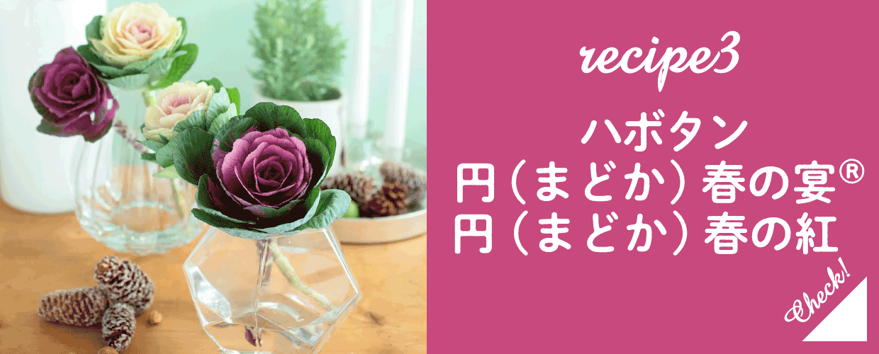 円(まどか)春の宴、春の紅