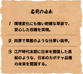 名前の由来
