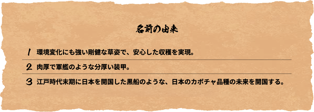 名前の由来