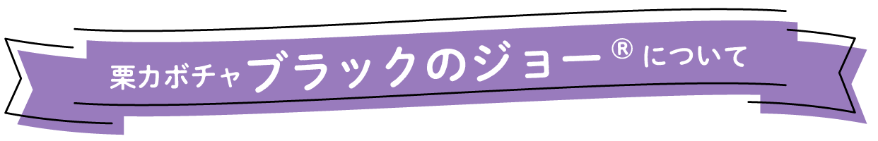 栗カボチャ「ブラックのジョー®