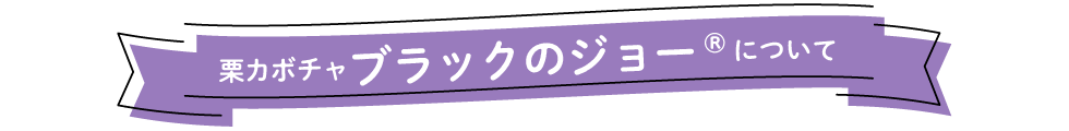 栗カボチャ「ブラックのジョー®