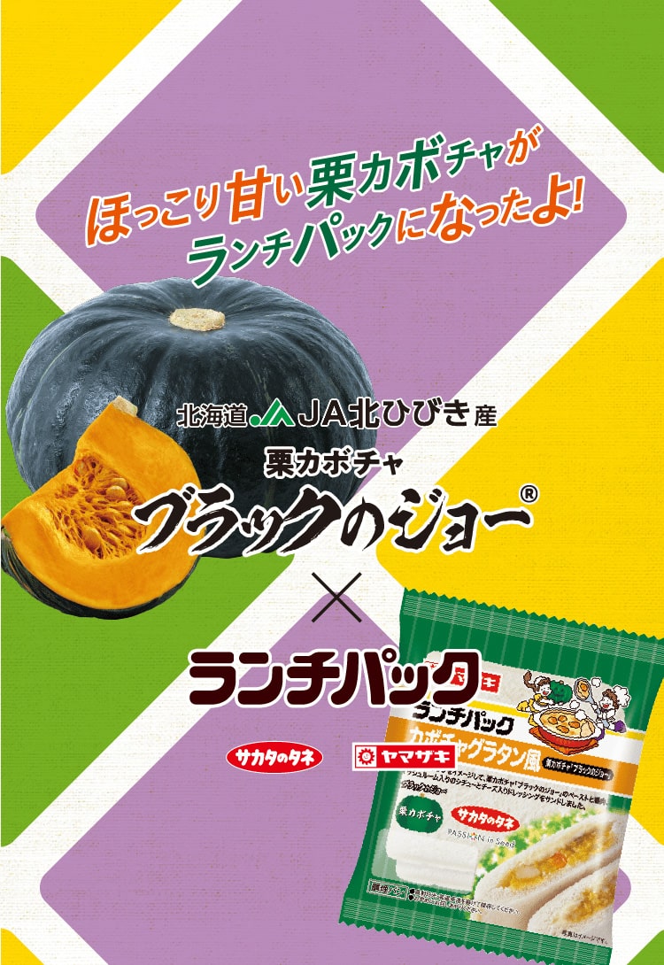 ほっこり甘い栗カボチャがランチパックになったよ！　北海道JA北ひびき産　栗カボチャブラックのジョー　ランチパック　サカタのタネ　ヤマザキ