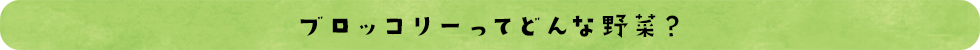 ブロッコリーってどんな野菜？