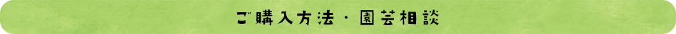 ご購入方法・園芸相談