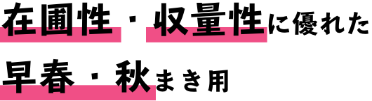 在圃性・収量性に優れた 早春・秋まき用