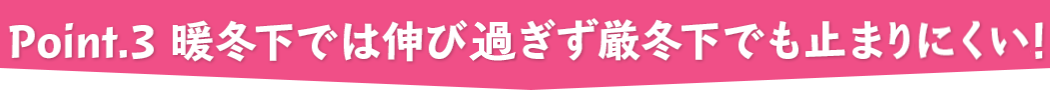 point.3 暖冬下では伸びすぎず厳冬下でも止まらない！