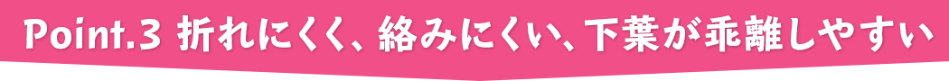 point.3 折れにくく、絡みにくい、下葉が乖離しやすい