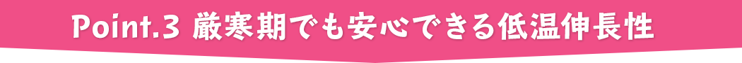 point.3 厳寒期でも安心できる低温伸長性