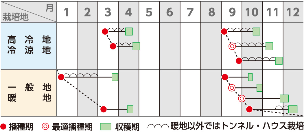 作型図