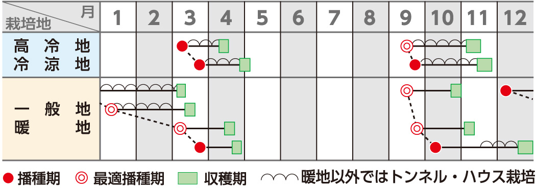 作型図