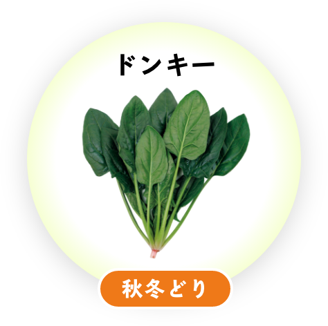 ドンキー